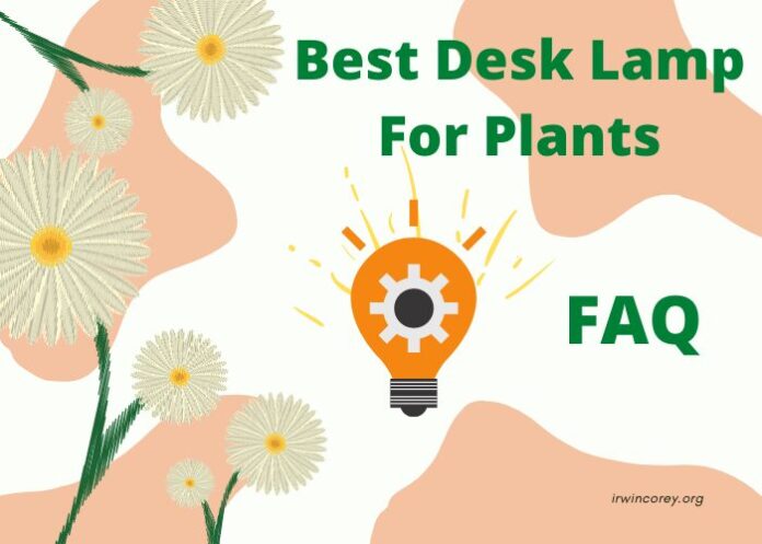 Best Desk Lamp For Plants FAQ