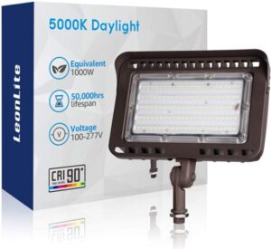 LEONLITE 100W LED Outdoor Flood Light