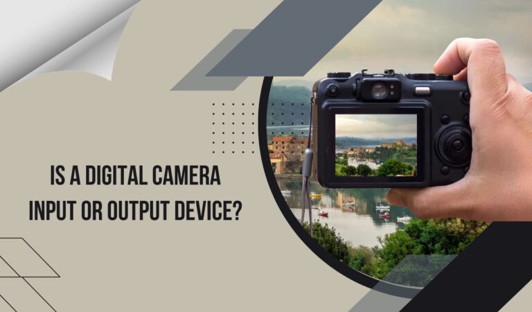 Digital camera input or output device