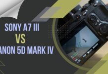 Sony A7 III VS Canon 5D Mark IV 2024 – Decoding the Differences Sony A7 III VS Canon 5D Mark IV - Which one is the ebst for you