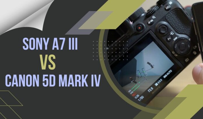 Sony A7 III VS Canon 5D Mark IV - Which one is the ebst for you