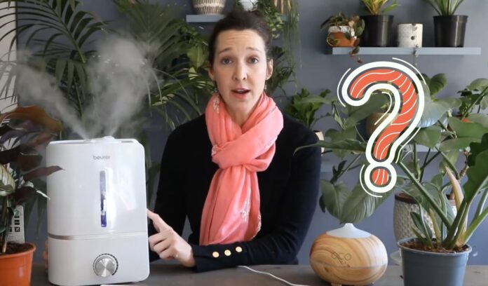 How often should I run my humidifier in plants grow room