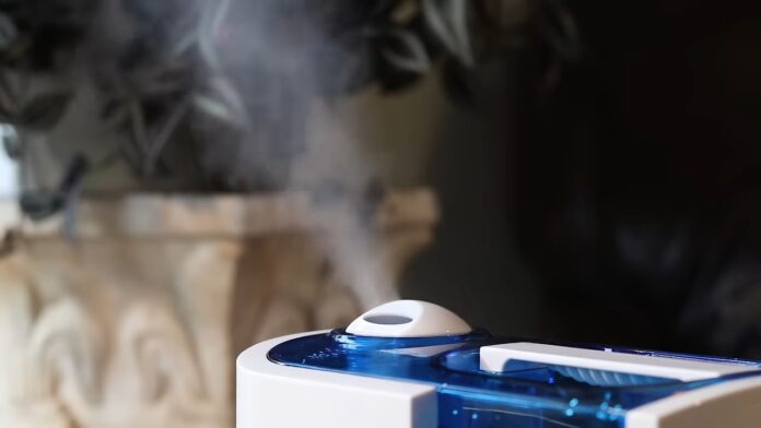 Humidifier For Plants - noise