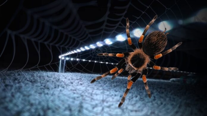 Does Led Lights Attract Spiders