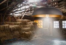 10 BEST Indoor Hanging Barn Lights in 2024: Factors to Find the Perfect Glow! Indoor Hanging Barn Lights