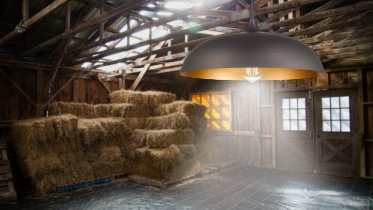 Indoor Hanging Barn Lights